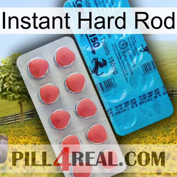 Instant Hard Rod new14.jpg